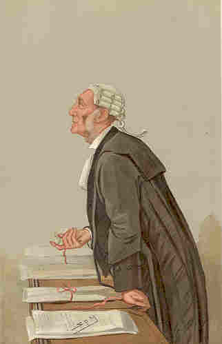 Lawyer in Court
